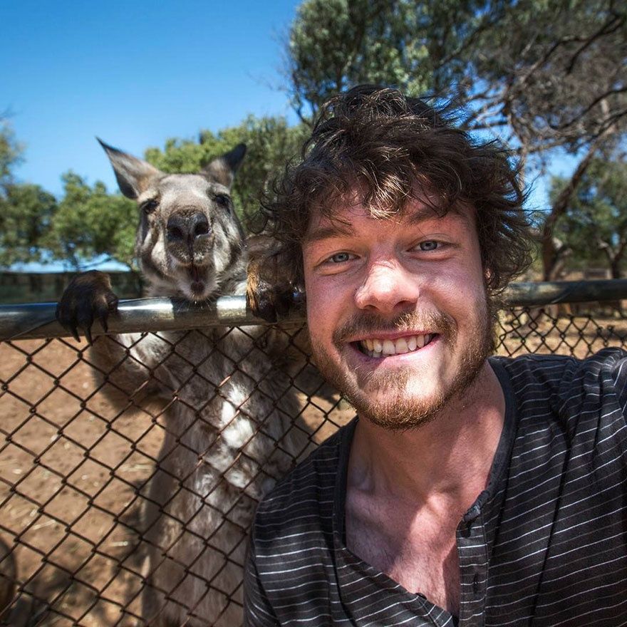 L'homme qui prenait des selfies géniaux avec des animaux | So Busy Girls