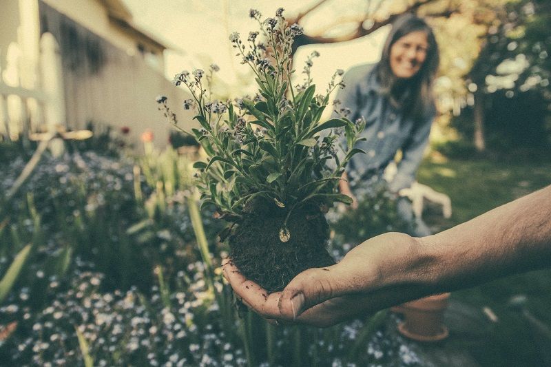 5 bonnes raisons de se faire plaisir avec les coffrets de graines à semer | So Busy Girls