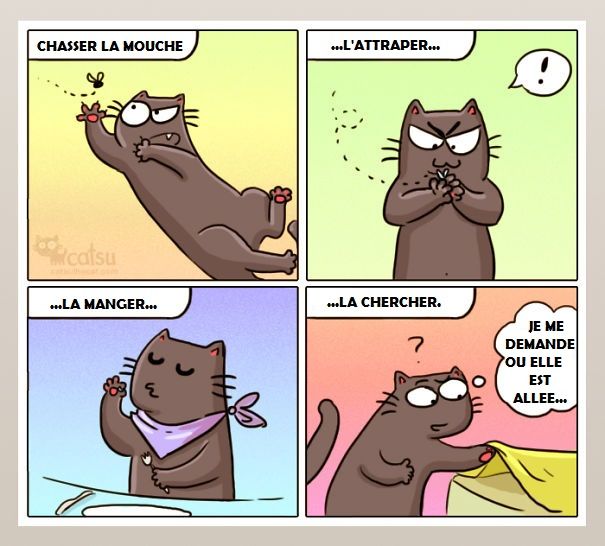 14 illustrations rigolotes qui résument parfaitement la vie avec un chat | So Busy Girls