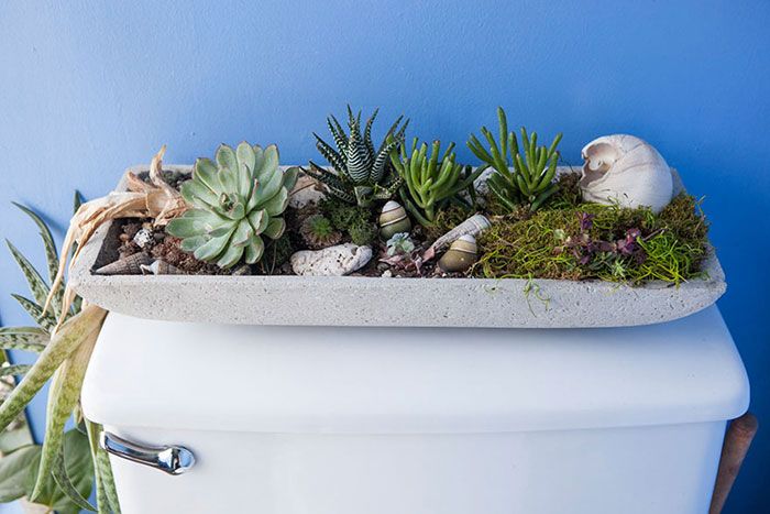 Cette jeune femme a planté plus de 500 plantes dans son appartement new-yorkais et l'a transformé en vrai jungle d'intérieur | So Busy Girls
