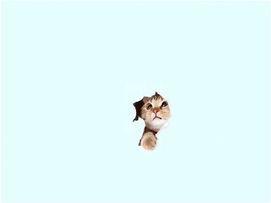 20 photos parfaites qui plairont à tous les minimalistes | So Busy Girls