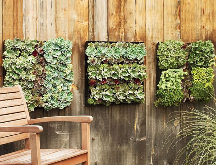 Des jardinières de plantes verticales | So Busy Girls