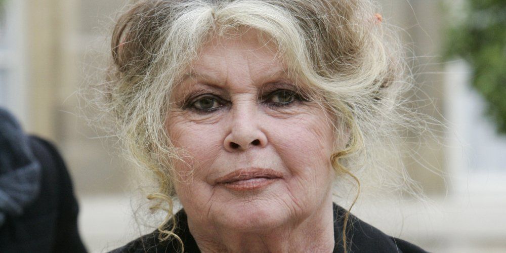 Pourquoi la famille de Brigitte Bardot refuse l’organisation d’un hommage national, malgré la pression politique | So Busy Girls