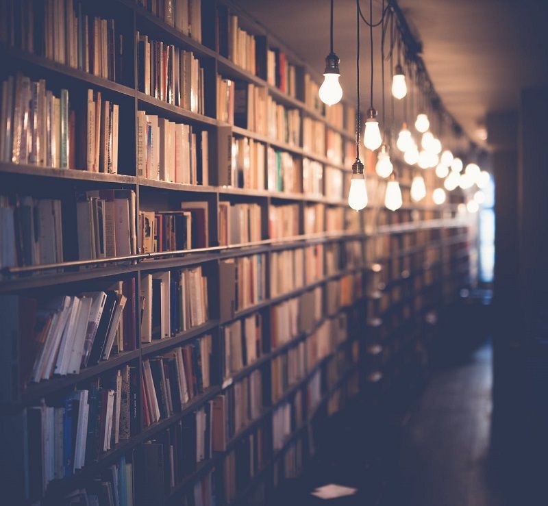 Les meilleurs livres que vous pouvez lire pour en savoir plus sur les casinos en ligne | So Busy Girls