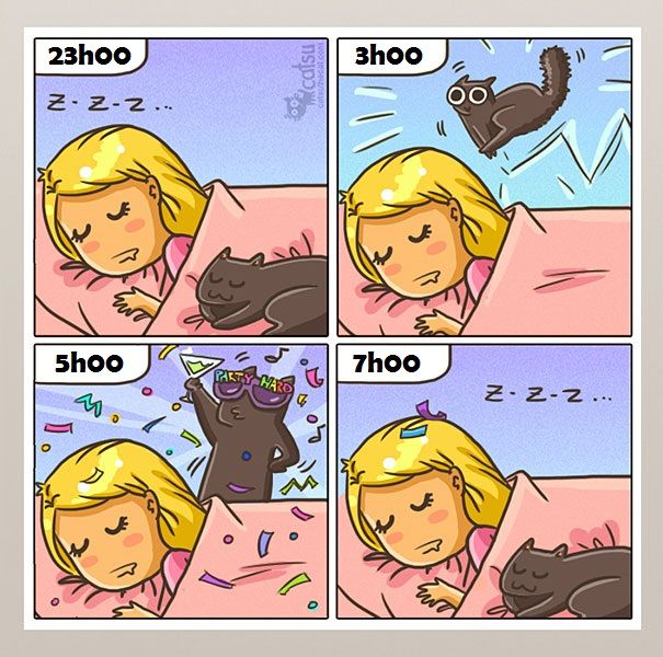 14 illustrations rigolotes qui résument parfaitement la vie avec un chat | So Busy Girls