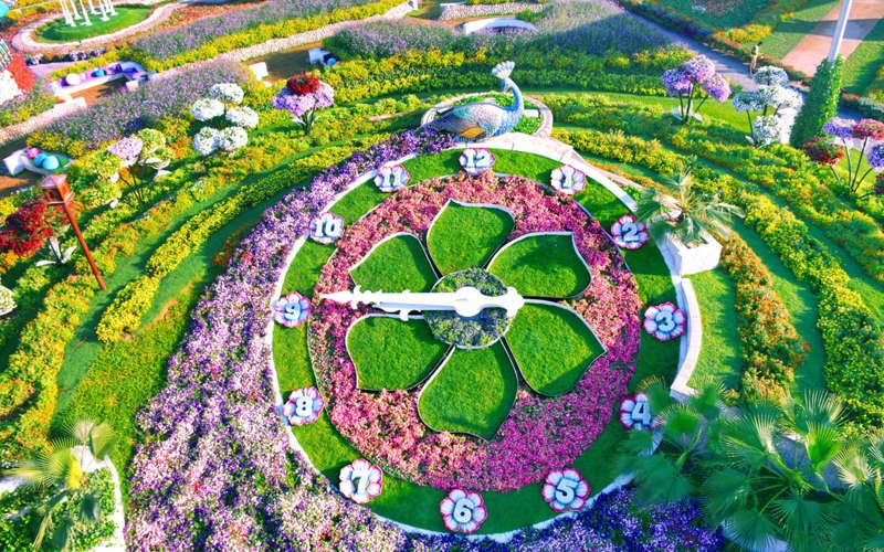 Découvrez le Dubaï Miracle Garden, le plus grand jardin de fleurs du monde ! | So Busy Girls