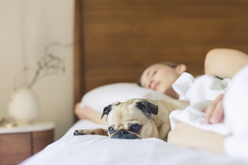 Comment arrêter de ronfler ? Les astuces qui marchent | So Busy Girls