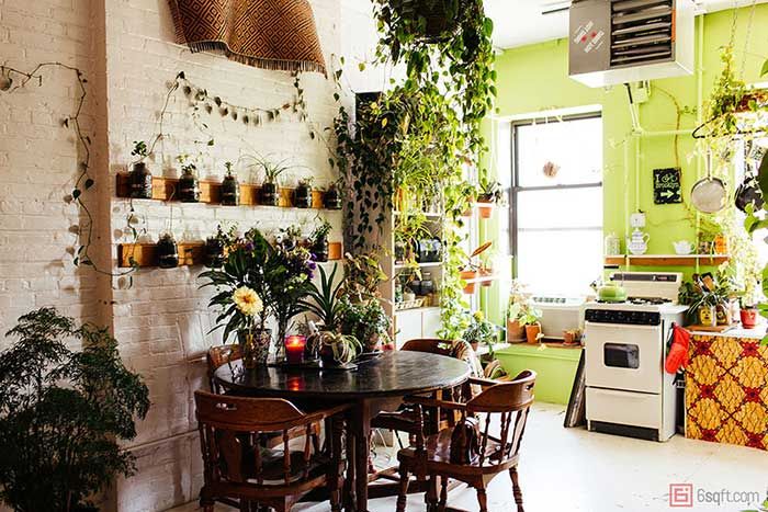 Cette jeune femme a planté plus de 500 plantes dans son appartement new-yorkais et l'a transformé en vrai jungle d'intérieur | So Busy Girls