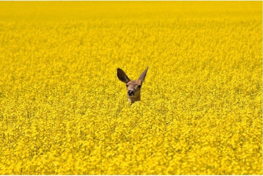 20 photos parfaites qui plairont à tous les minimalistes | So Busy Girls