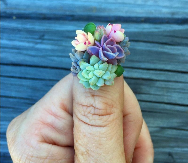 Un incroyable nail art en succulentes qui poussent pendant que vous les portez | So Busy Girls