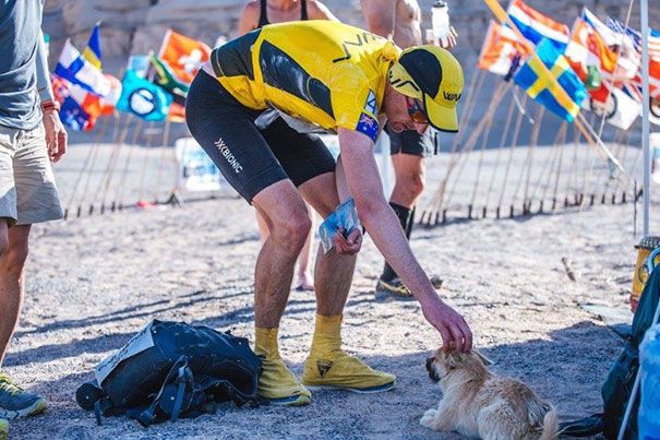 Un petit chien errant rejoint ce marathonien, court 100km avec lui et finit la course avec son nouveau maître ! | So Busy Girls