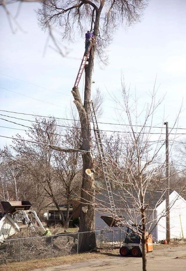 Pourquoi les femmes vivent plus longtemps que les hommes expliqué en 13 photos | So Busy Girls