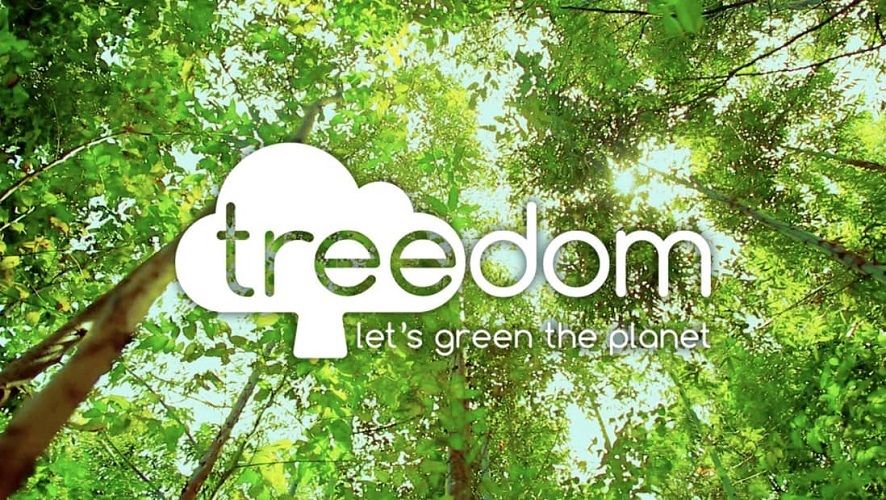 La jolie idée cadeau écologique pour Noël : planter un arbre avec Treedom | So Busy Girls