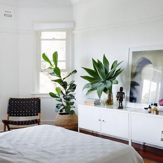 Optimisez la chambre avec des plantes | So Busy Girls