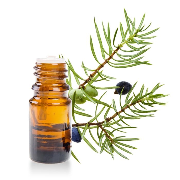 L'huile de genévrier aide à faire partir la cellulite | So Busy Girls