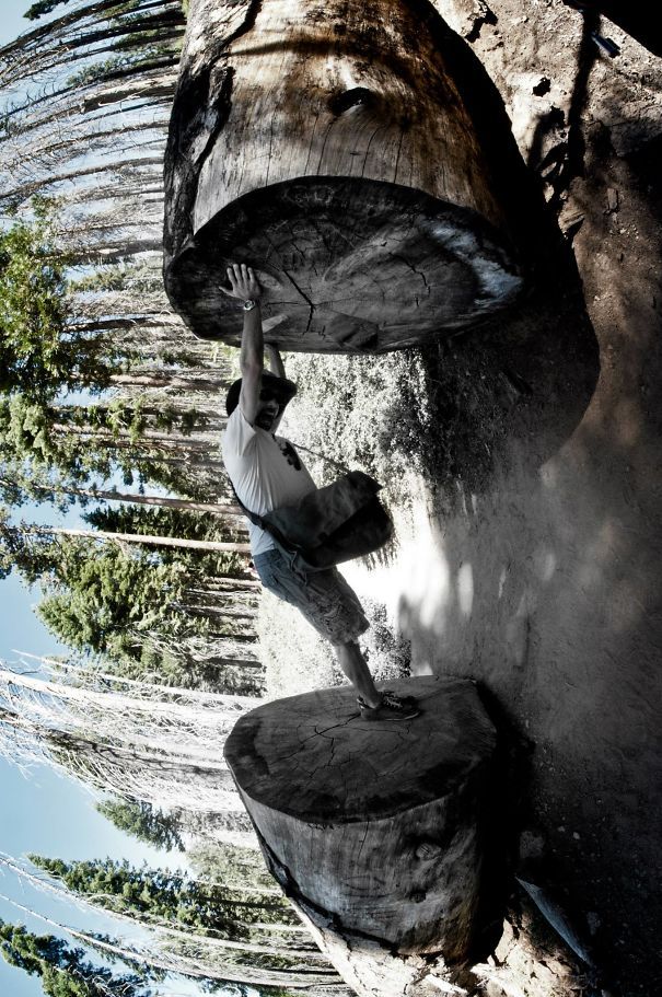 33 photos incroyables qui montrent que l'angle de vue fait tout ! | So Busy Girls