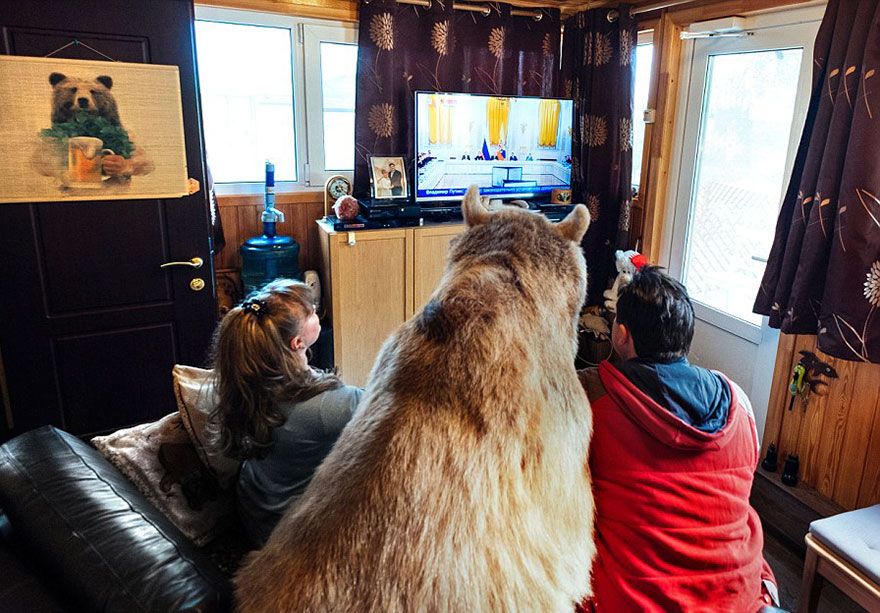 Un couple russe a adopté un ours orphelin il y a 23 ans, et ils vivent toujours tous ensemble ! | So Busy Girls
