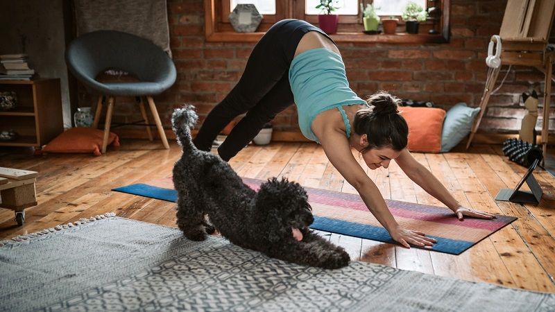 Le Fitbit Coach et ses 150 entraînements à faire depuis chez soi est gratuit pendant 90 jours | So Busy Girls