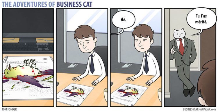 Voilà à quoi ressemblerait votre patron s’il était un chat (petit indice : c'est très drôle !) | So Busy Girls