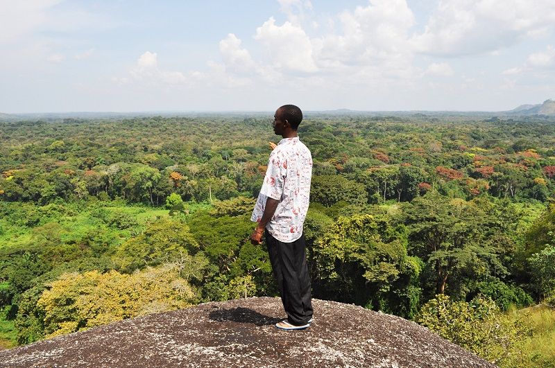 Cameroun - Un des premiers pays o&ugrave; Treedom a commenc&eacute; son travail. &Agrave; ce jour, Treedom a plant&eacute; plus de 1 400 000 nouveaux arbres.
