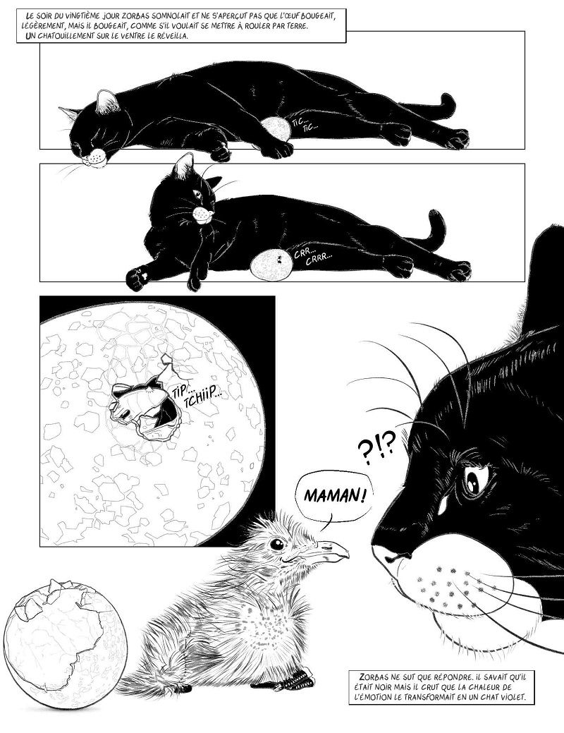 Histoire-d-une-mouette-et-du-chat-qui-lui-apprit-a-voler-3