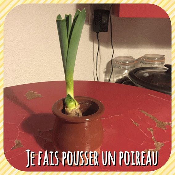 JE-FAIS-POUSSER-UN-POIREAU