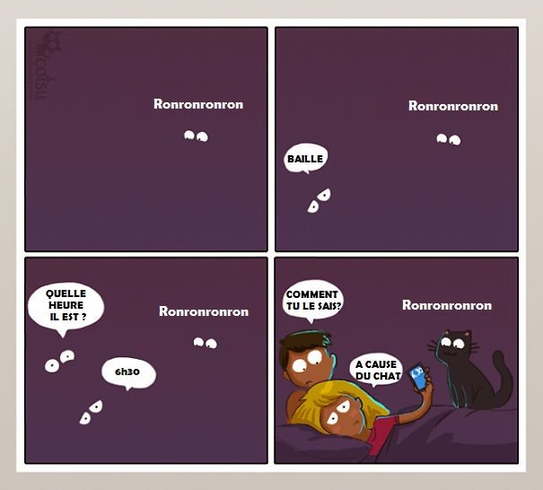 14 illustrations rigolotes qui résument parfaitement la vie avec un chat | So Busy Girls