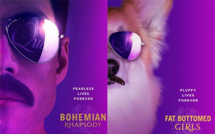 Il détourne les affiches de films cultes qui ont marqué 2018 en y incrustant... son chien ! | So Busy Girls