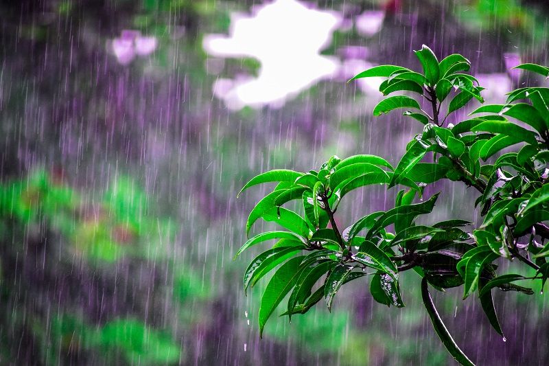 Non, ce n'est pas la pluie qui vous déprime, c'est ça | So Busy Girls