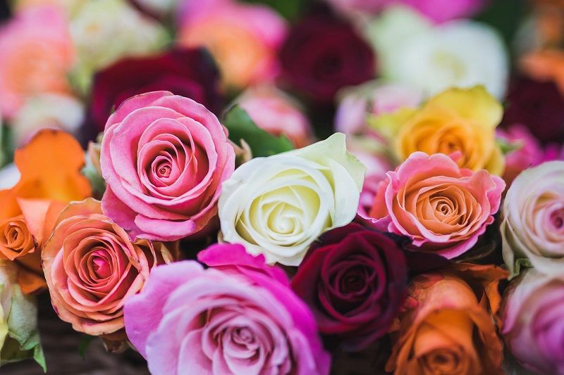 5 fleurs à offrir pour la Fête des mères | So Busy Girls