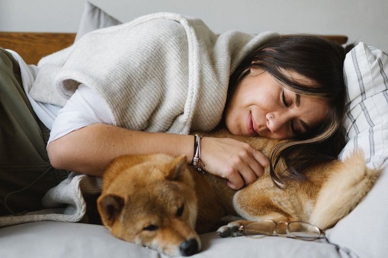 Pourquoi dormir avec son chat ou son chien est en réalité une TRES mauvaise idée ! | So Busy Girls