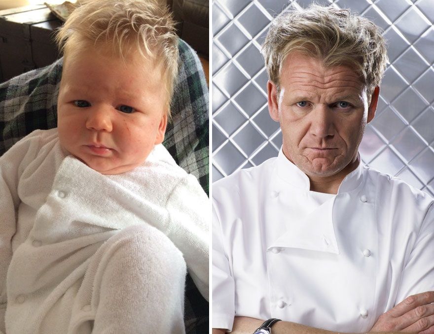 Gordon Ramsay | So Busy Girls