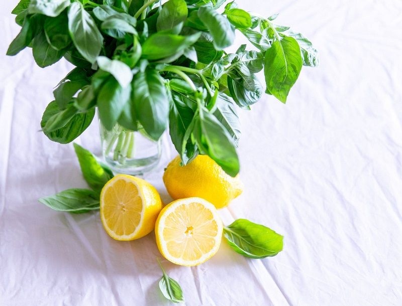 Vous vous lèverez plus heureux le matin si vous dormez à côté d'un citron | So Busy Girls