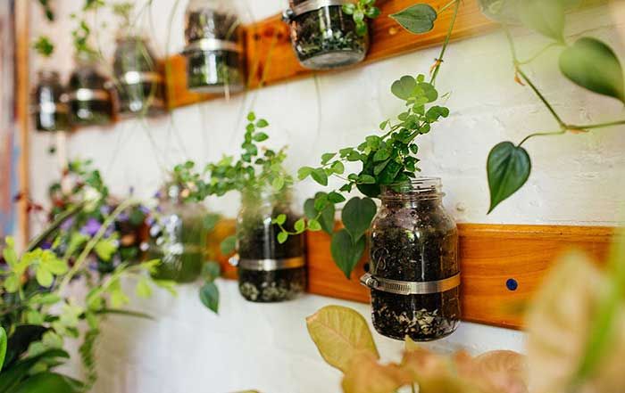 Cette jeune femme a planté plus de 500 plantes dans son appartement new-yorkais et l'a transformé en vrai jungle d'intérieur | So Busy Girls