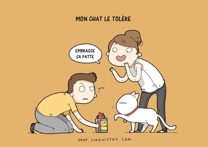Mon chat l'a accepté | So Busy Girls