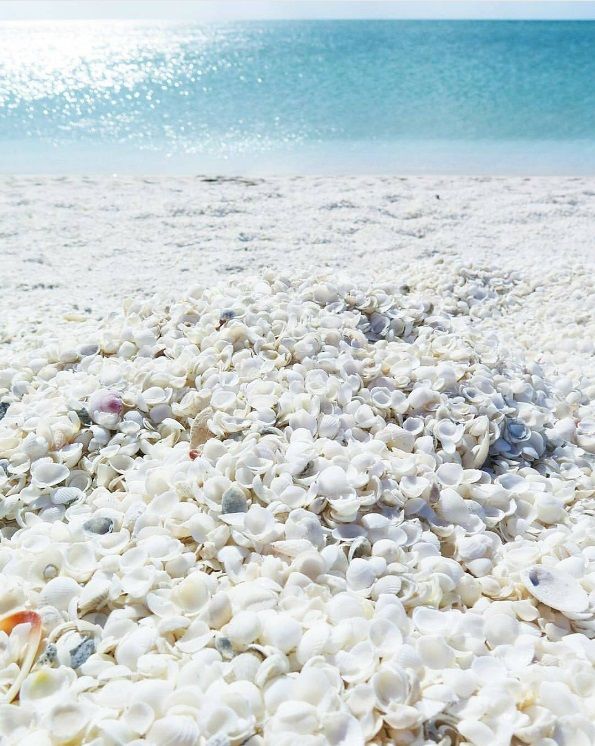 Cette plage australienne est entièrement recouverte de coquillages | So Busy Girls
