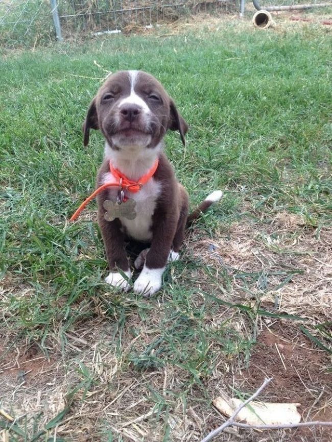 "Un petit sourire pour la photo" ! | So Busy Girls