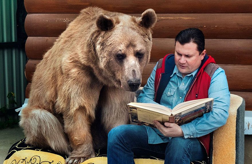 Un couple russe a adopté un ours orphelin il y a 23 ans, et ils vivent toujours tous ensemble ! | So Busy Girls