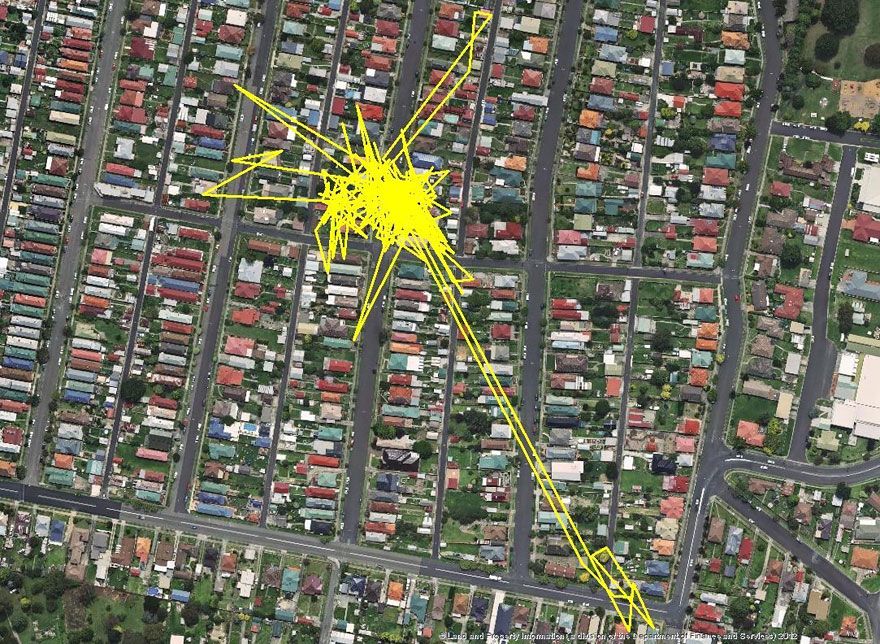 Une puce GPS révèle les aventures que votre chat vit la nuit | So Busy Girls