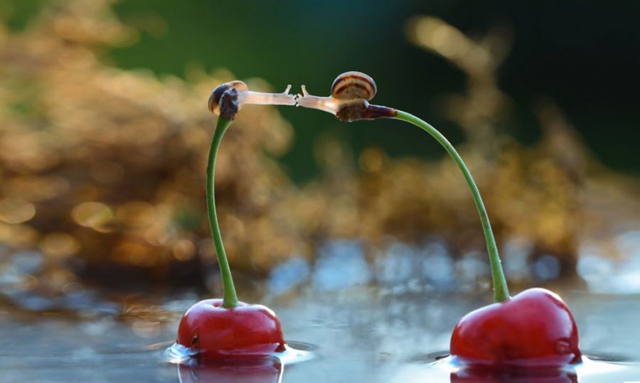 L'amour peut surmonter toutes les frontières et tous les obstacles | So Busy Girls
