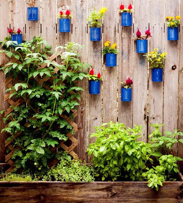 Des boîtes de conserve repeintes qui servent de pots pour les plantes | So Busy Girls