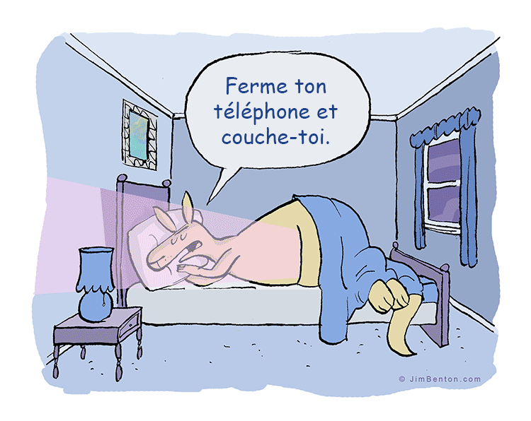 13 bandes dessinées amusantes sur les animaux | So Busy Girls