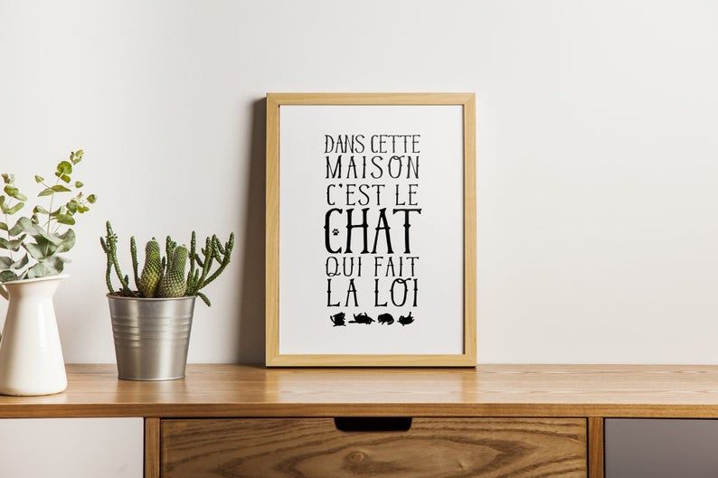 affiche-dans-cette-maison-c-est-le-chat-qui-fait-la-loi