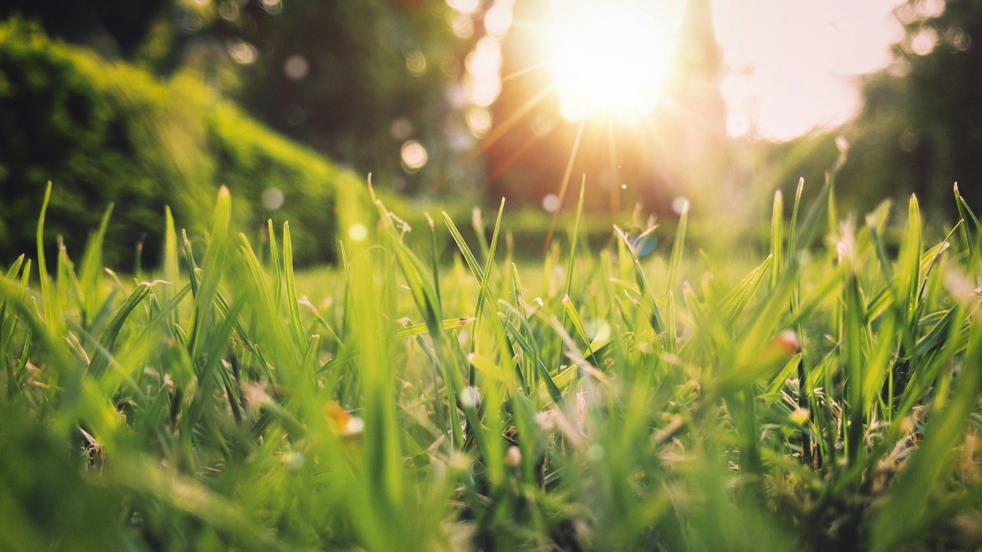 &Eacute;quinoxe de printemps 2026 : &agrave; quelle heure exacte aura lieu ce ph&eacute;nom&egrave;ne rare ce 20 mars ?