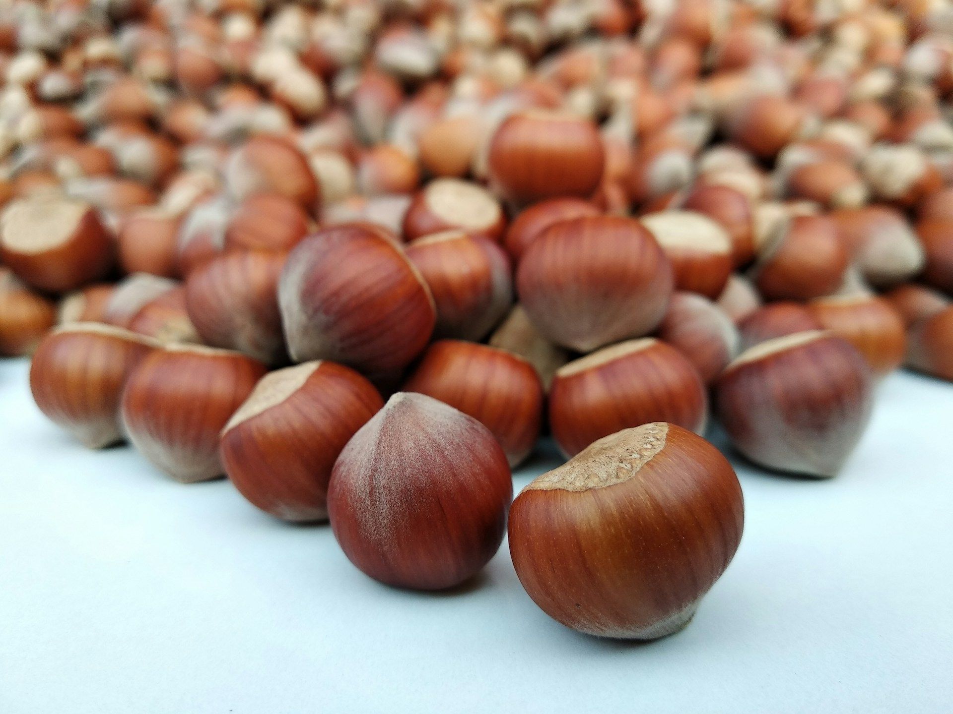 Recette de lait de noisettes maison facile