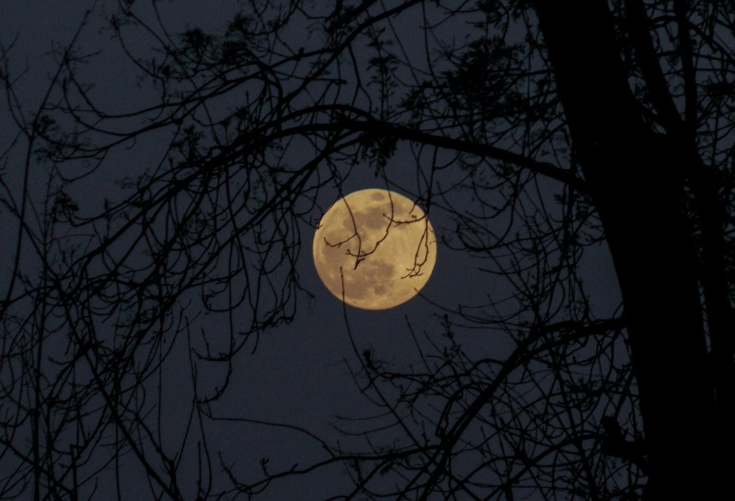 Pleine lune du 5 d&eacute;cembre : voici comment la lunaison mettra ces 3 signes astros en avant