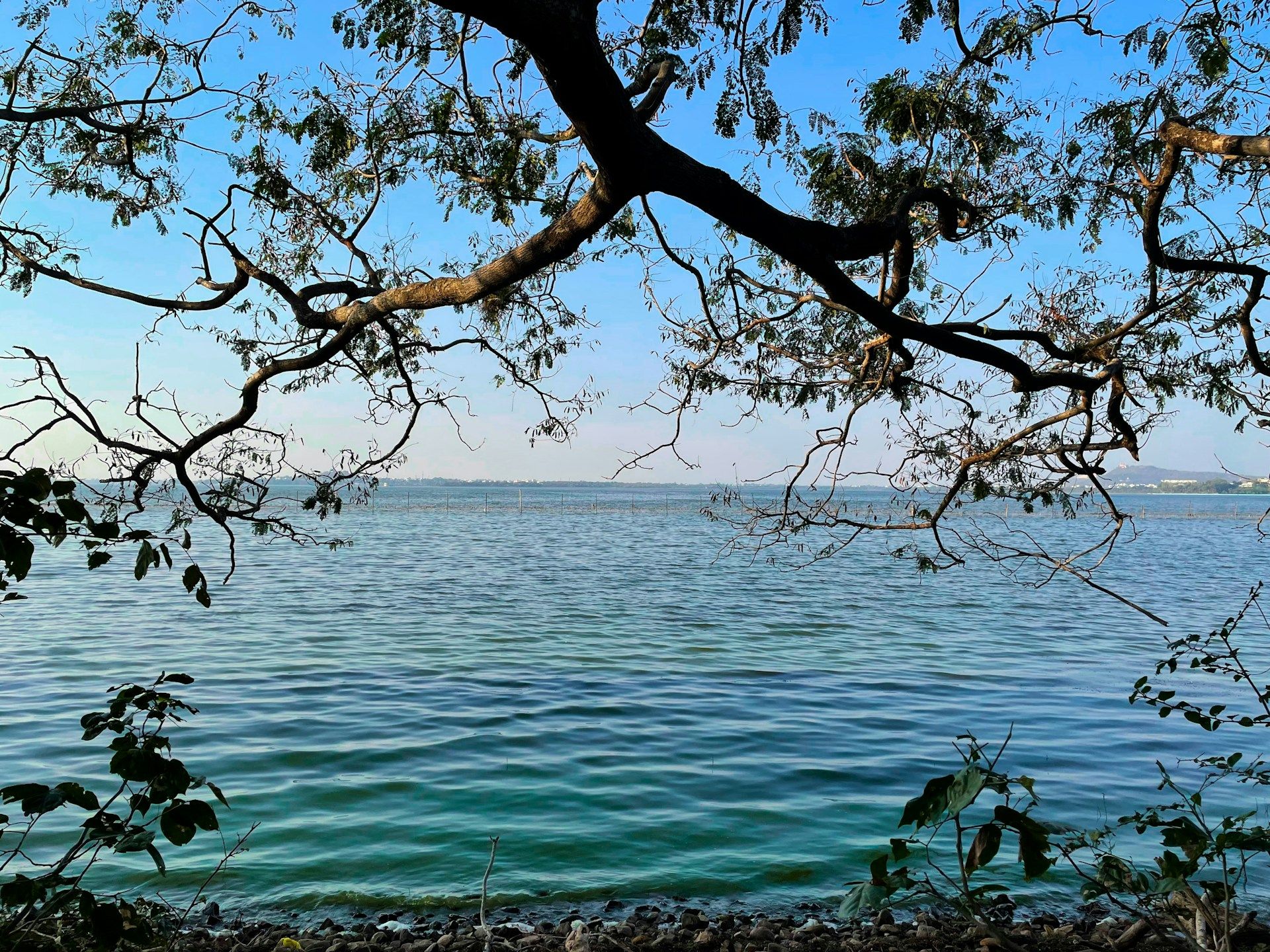 Quelle est la couleur préférée de beaucoup de gens ? Le bleu.