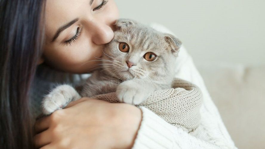 Habitudes des personnes qui ont un chat