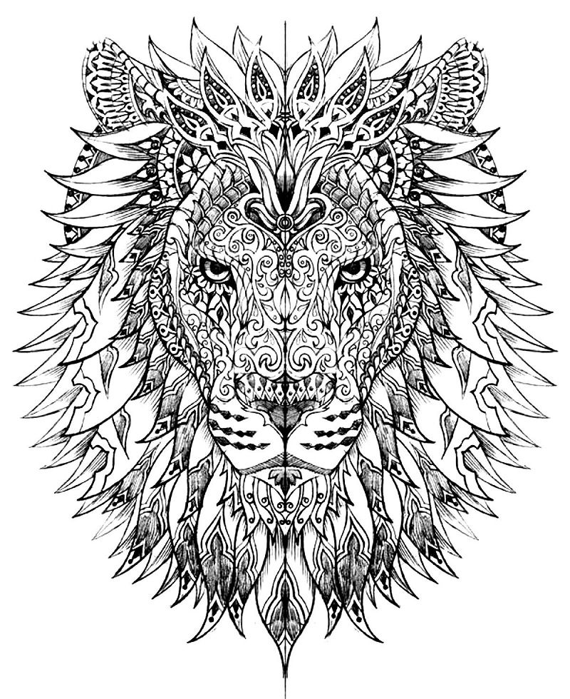 Un lion | So Busy Girls