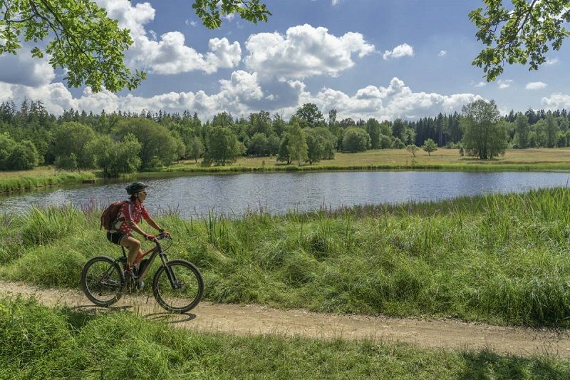 Pourquoi choisir un VTT électrique ? | So Busy Girls